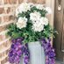 Donna’s Porch Plant (@donnasporchpb) Twitter profile photo Donna’s Porch Plant (@donnasporchpb) Twitter profile photo