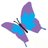 hipsaver's profile image