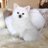 Shima_ru