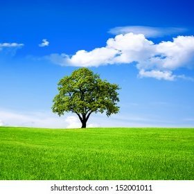 ChrysosClan1's profile picture. 