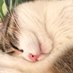 Berthold (@bertholdusius) Twitter profile photo Berthold (@bertholdusius) Twitter profile photo