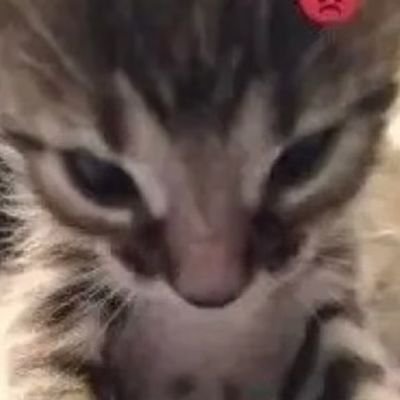 Mixさんのプロフィール画像