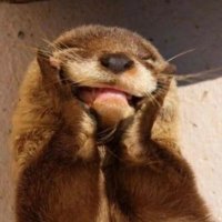 Fujaa (@fujango) 's Twitter Profile Photo