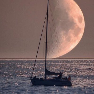 meilunmeihuan_1's profile picture. 高素质高颜值，人以类聚，非优勿扰！