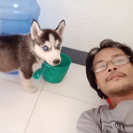 FerdinandSuday's profile picture. Honest, resourceful, handsome