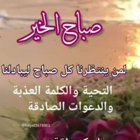 ammar (@ammar0445264237) 's Twitter Profile