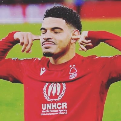 nforest123's profile picture. 