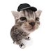 zeet (@zeetlol_) Twitter profile photo zeet (@zeetlol_) Twitter profile photo