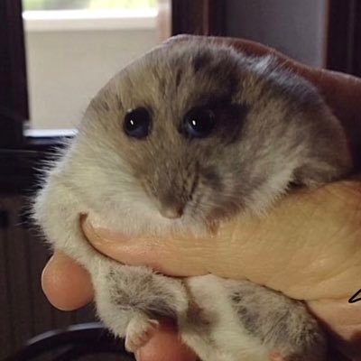 Gweb781867's profile picture. 