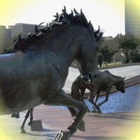 David Wyld (@breakingdfw) 's Twitter Profile