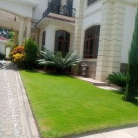 Crystal Gardens Landscape & Gardening Services (@crystalgardensk) 's Twitter Profile Photo Crystal Gardens Landscape & Gardening Services (@crystalgardensk) 's Twitter Profile Photo