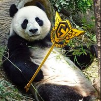 Usixfn (@usixfnbr) 's Twitter Profile