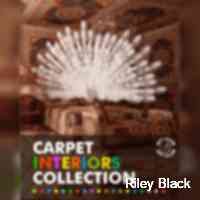 Riley Black (@rilyback) 's Twitter Profile