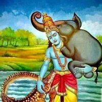 Gopala the Elephant (@b0rtcask1) 's Twitter Profile Photo