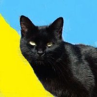 MartaLviv (@marta_lviv) 's Twitter Profile Photo MartaLviv (@marta_lviv) 's Twitter Profile Photo