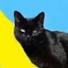 marta_lviv's profile picture. Від "Хоч паржом!" до "Ми на межі втрати держави...." одна галочка в бюлетені.