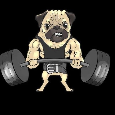 Pug that has entered his, get stronger phase. Currently building a better body, hope you'll support me.
https://t.co/k56E6eTLNJ