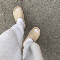 Sammy Erwin (@erwin_sam_) 's Twitter Profile