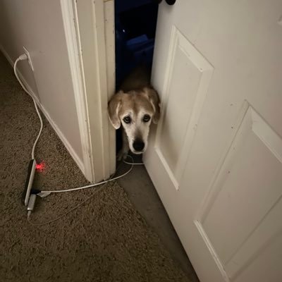 420thunderbuddy's profile picture. 