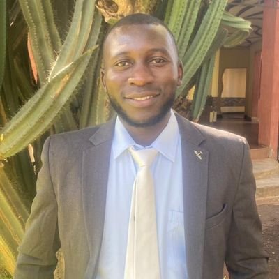 ICT Officer at Smart Zambia Institute, E - Government Division