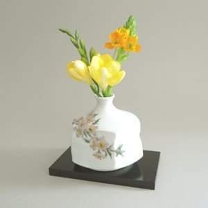 smitas2013_2's profile picture. Bharatiya