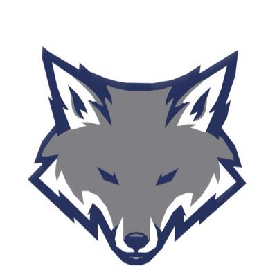 coachmarkfox Profile Picture