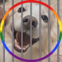 라일라 ✰ (@smjynchives) 's Twitter Profile