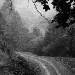 brokedownpalac4's profile picture. Tears on my Gore-Tex™️