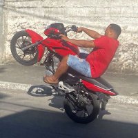 ғoх ²² rei do copão 🥃 🥇 (@foxcrf_) 's Twitter Profile