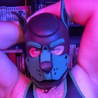PupRuss (@pup_russ) 's Twitter Profile Photo PupRuss (@pup_russ) 's Twitter Profile Photo