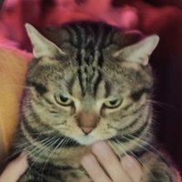 かい (ll'ʘิωʘิ'll) (@jet_jelly) 's Twitter Profile Photo