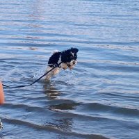 Ting Mei (@tingmei3) 's Twitter Profile Photo