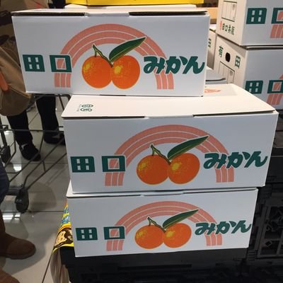 石山咲良🌸さん&櫻井梨央さん☕️&上村麗菜さん🌋さんが好きです。 🏆徳永千奈美🌻さんはLEGEND。田口夏実🍊さん&宮崎由加🐱さん&和田彩花🖼さん。推すことができて幸せでした。ときどき #鉄ヲタ