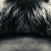 Thomas Spengler (@spengsstache) Twitter profile photo Thomas Spengler (@spengsstache) Twitter profile photo