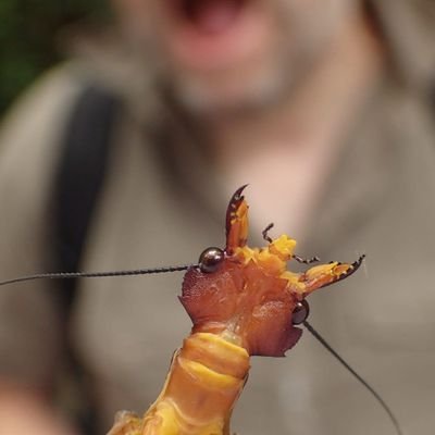 Enthusiastic scientist interested in the ecology and evolution of invertebrates and plants.