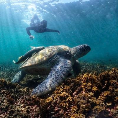 TeerapongSungw1's profile picture. 