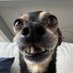 WWWWWWWWWWWWWWWWWWWWWWWWWWWWWWWWWWWWWWWWWWWWWWWWWW (@wwwwwwmmmwwwwww) Twitter profile photo WWWWWWWWWWWWWWWWWWWWWWWWWWWWWWWWWWWWWWWWWWWWWWWWWW (@wwwwwwmmmwwwwww) Twitter profile photo