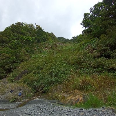 Q6066828404's profile picture. 相忘於江湖