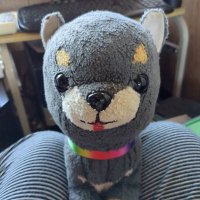 Michiko (@michiko88975211) 's Twitter Profile