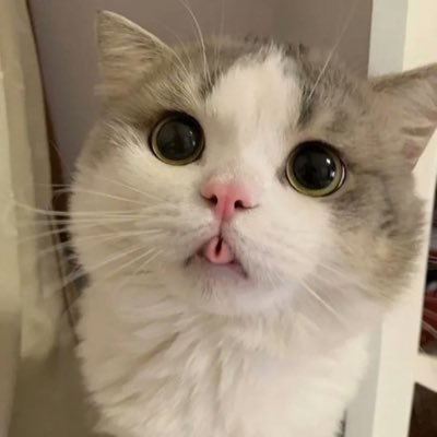 ___hamsky's profile picture. life is getting better