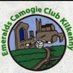 Emeralds Camogie Club Urlingford (@EmeraldsCamogie) Twitter profile photo