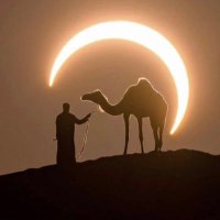 بوصلة🧭 (@bosalh23) Twitter profile photo