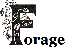 ForageArundel's profile picture. Gastro-pub restaurant in Arundel, West Sussex. Simply delicious, local food