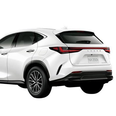 Revi_NX350hF's profile picture. 2023年9月9日納車 車歴キャバリエ→ムーヴ→51エルグランド→52エルグランド→プリウス→VOXY煌III→NX350hF レクサス関係の方無言フォロー失礼します🙇‍♂️浦和サポ長年やっとります🟥推し→ショレ、関根