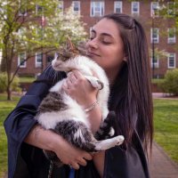 Maya Morita (@mayacatemorita) 's Twitter Profile