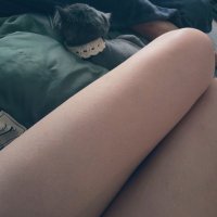 三性mia (@minimioop) 's Twitter Profile