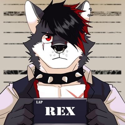 I am silver a friendly wolf who likes video games and if you want to meet me in sl my username is r3xw0lf