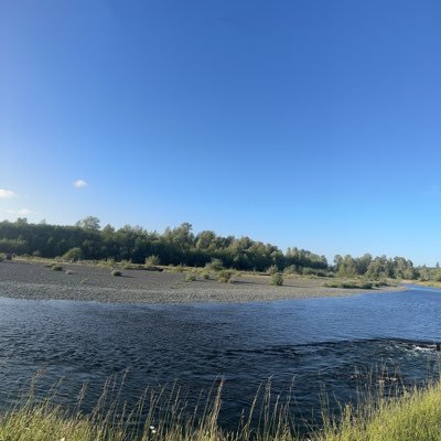 Steener1222's profile picture. 