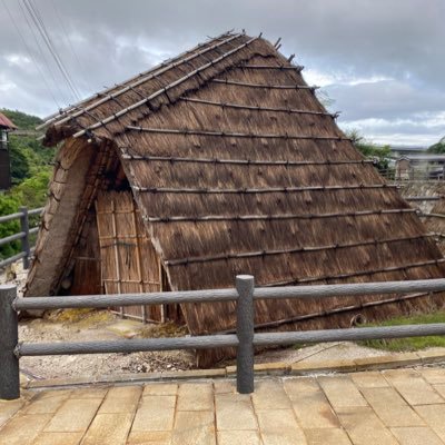 shikko8181's profile picture. こんにちは。