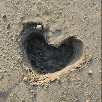 لُجين الهاجرِي🤍 (@lujain2h) 's Twitter Profile